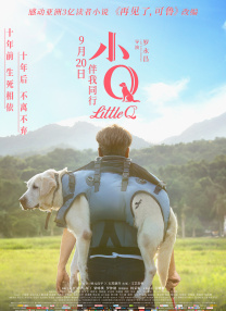 视频在线观看一区二区
